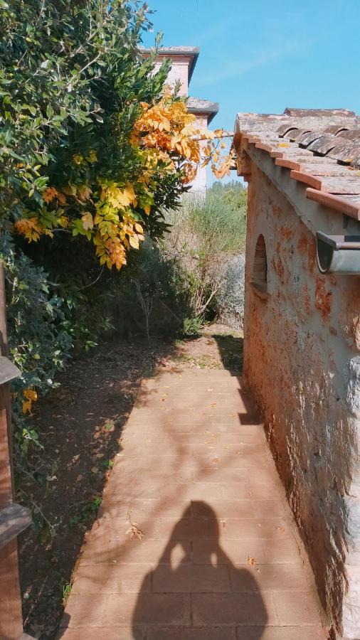 Cosy Country Room Garden Sovicille Exterior photo