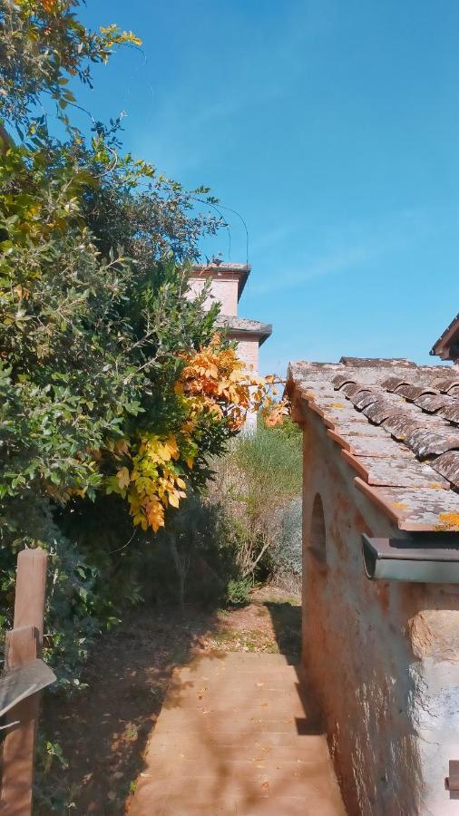Cosy Country Room Garden Sovicille Exterior photo