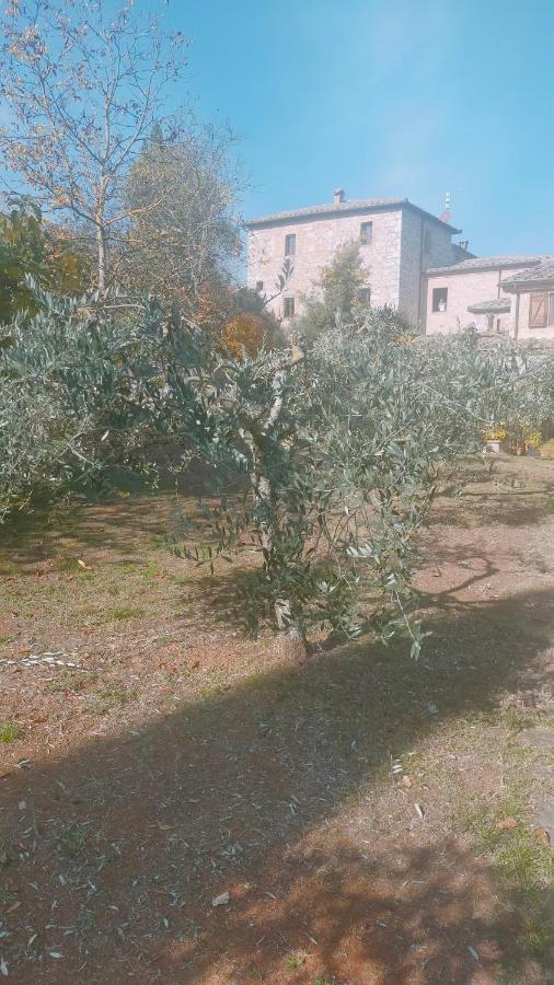Cosy Country Room Garden Sovicille Exterior photo